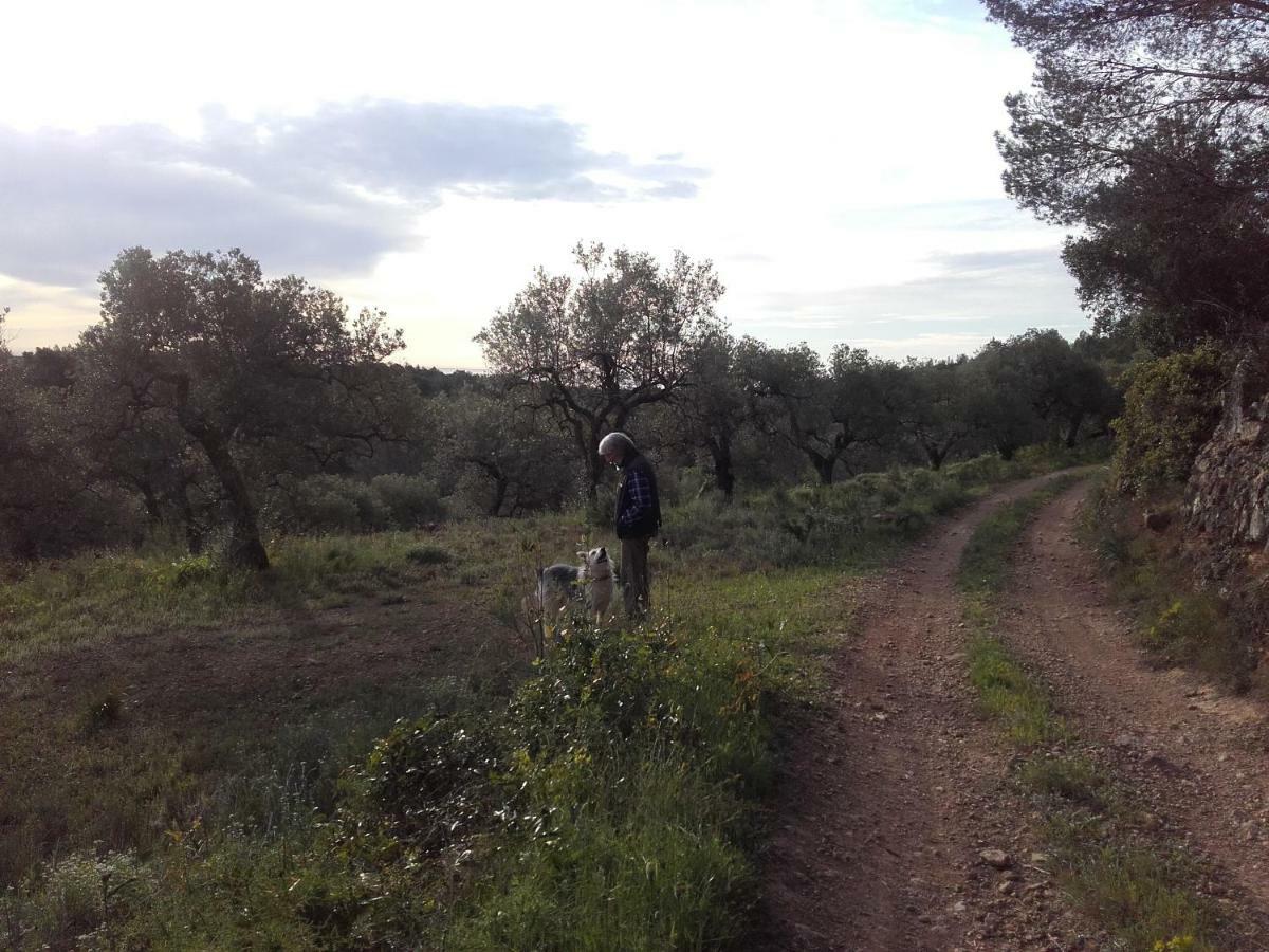 Ca L'Eli Different Experience Hutt 12157 Guest House Mont-roig del Camp Exterior photo
