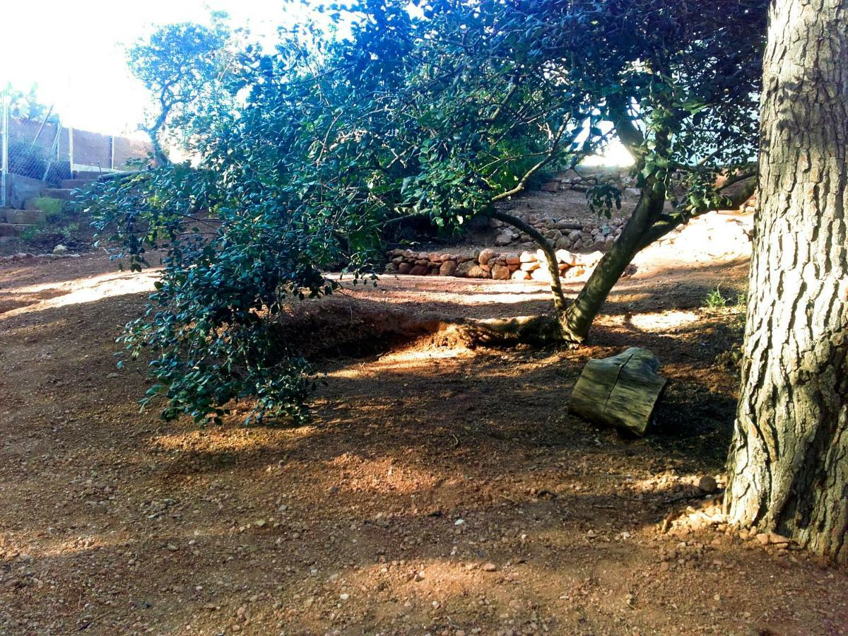 Ca L'Eli Different Experience Hutt 12157 Guest House Mont-roig del Camp Exterior photo