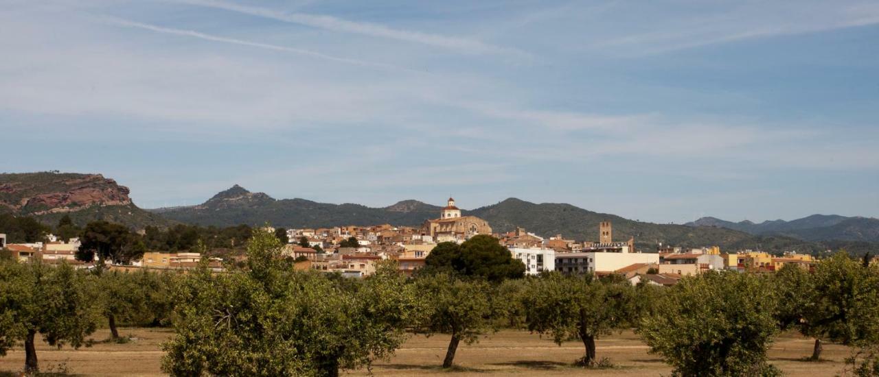 Ca L'Eli Different Experience Hutt 12157 Guest House Mont-roig del Camp Exterior photo